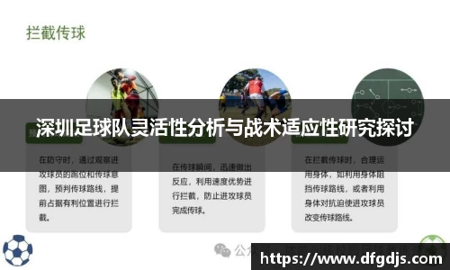 深圳足球队灵活性分析与战术适应性研究探讨
