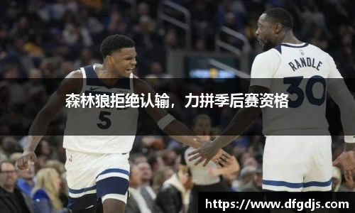 森林狼拒绝认输，力拼季后赛资格